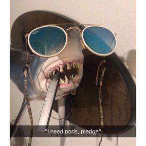 Meet your Posher, Carly